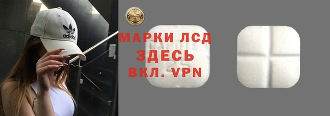 эйфоретик Медногорск
