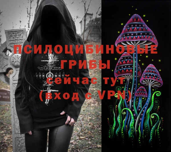спайс Мегион
